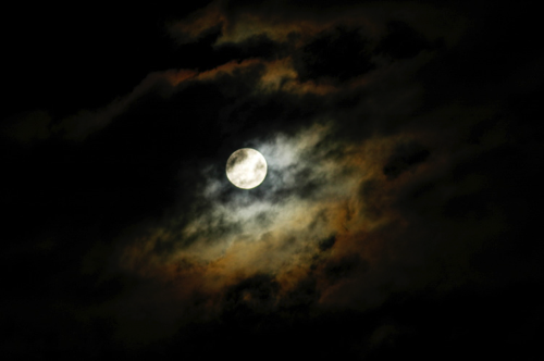 このまま夜型生活になっていっちゃうのか、少し不安。でも少し懐かしくていい感じ