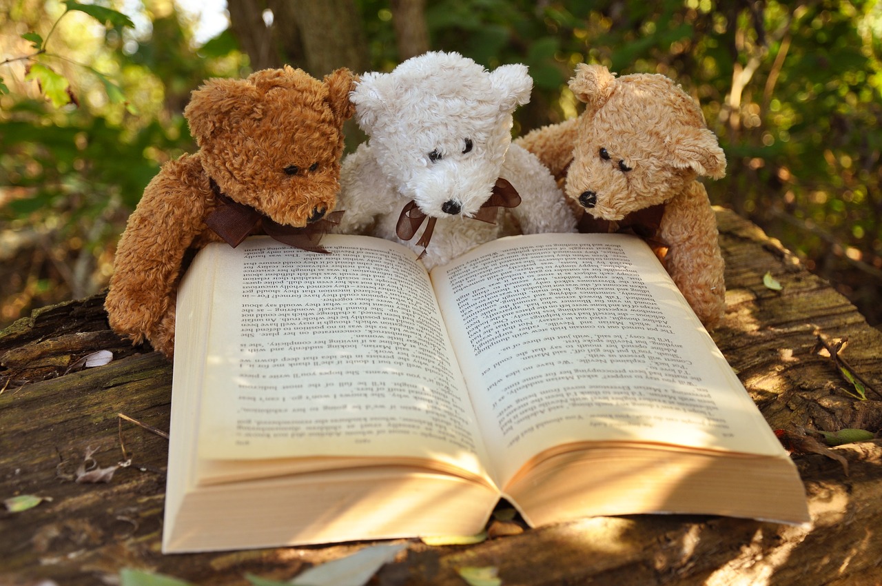 teddy-bear-2855982_1280