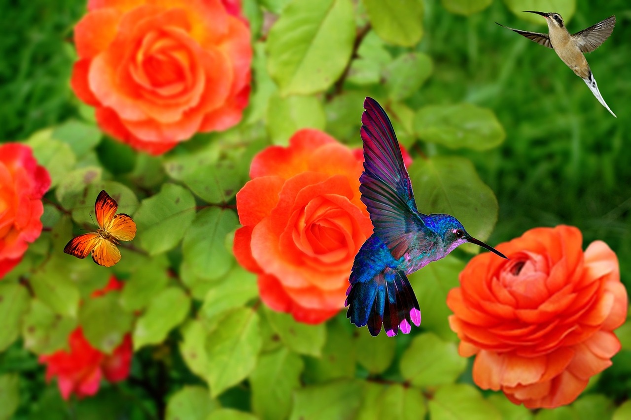roses-878703_1280