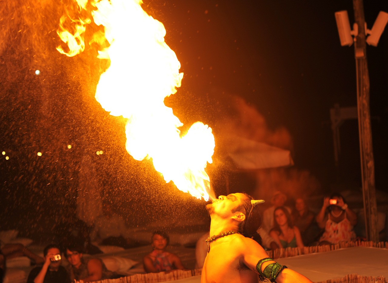 firedancer-144544_1280