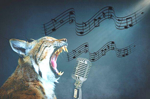 声に自信がなくても ビジネスが加速しプライベートも充実する秘密 人生再起動コーチング